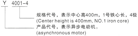 西安泰富西玛Y系列(H355-1000)高压咸安三相异步电机型号说明